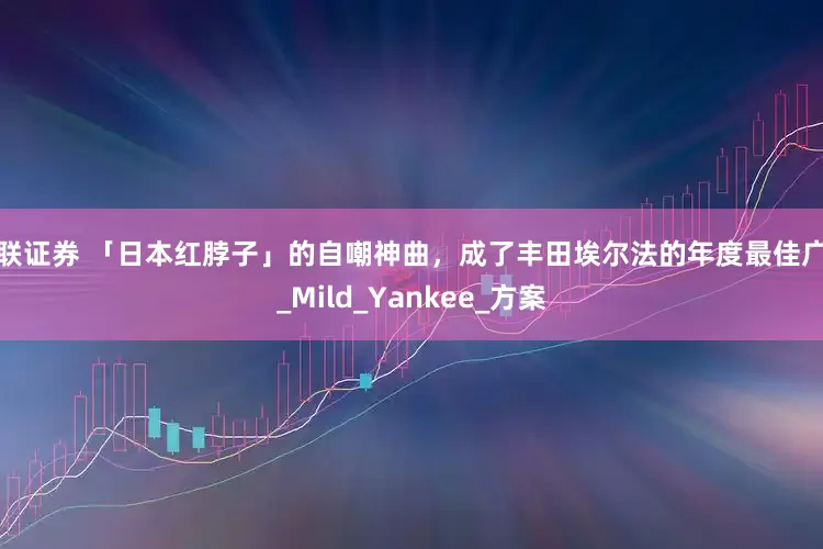 港联证券 「日本红脖子」的自嘲神曲，成了丰田埃尔法的年度最佳广告_Mild_Yankee_方案