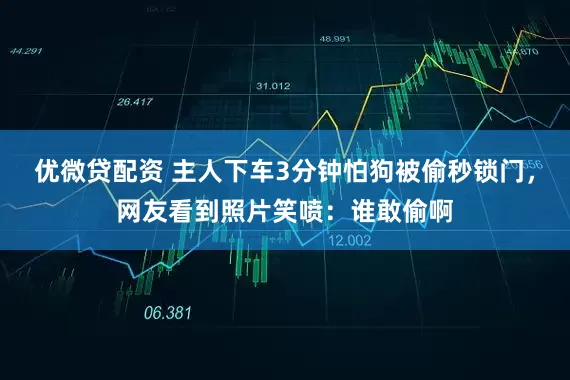 优微贷配资 主人下车3分钟怕狗被偷秒锁门，网友看到照片笑喷：谁敢偷啊