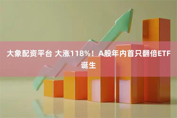 大象配资平台 大涨118%！A股年内首只翻倍ETF诞生